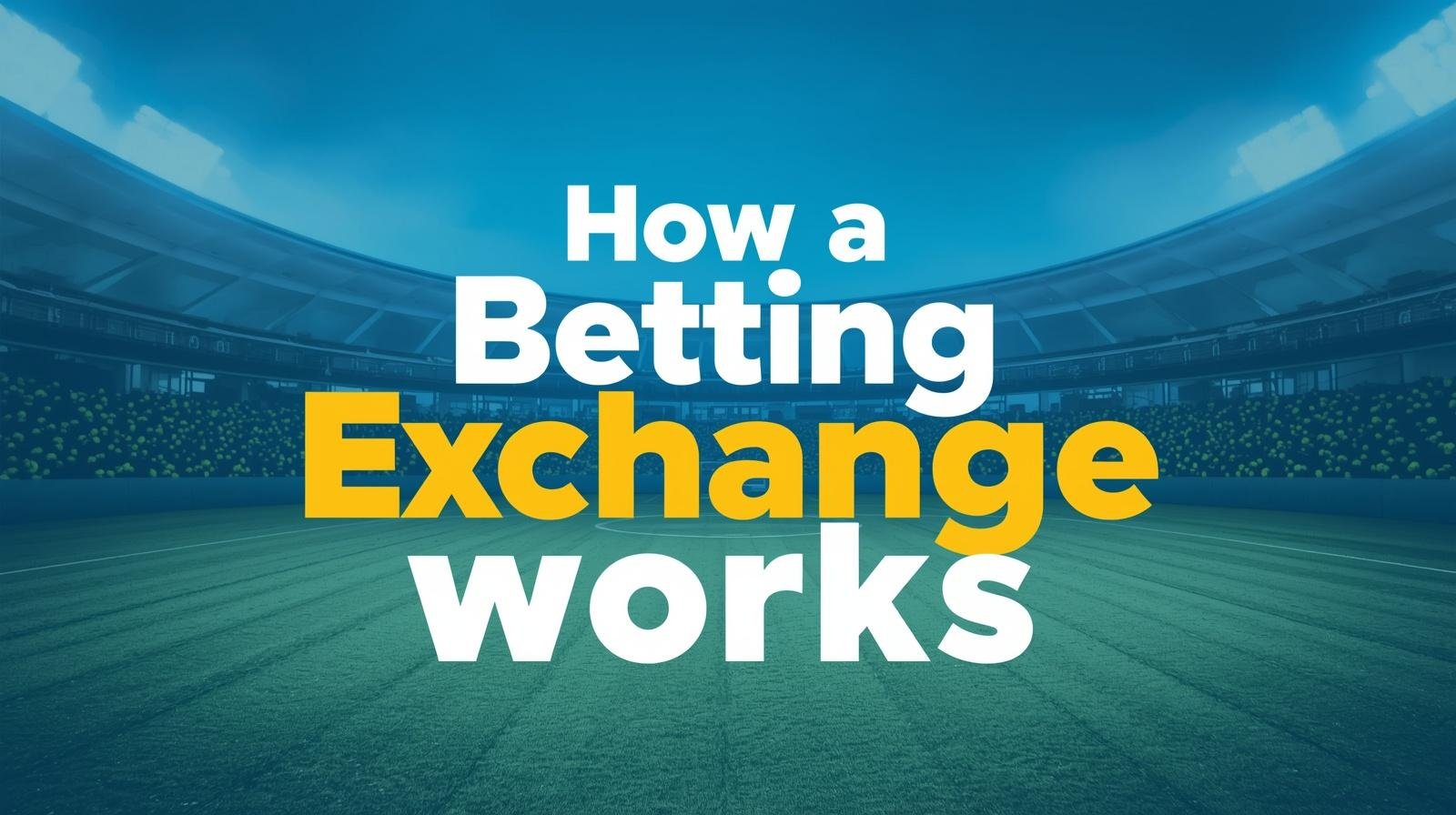 How batting exchanges work